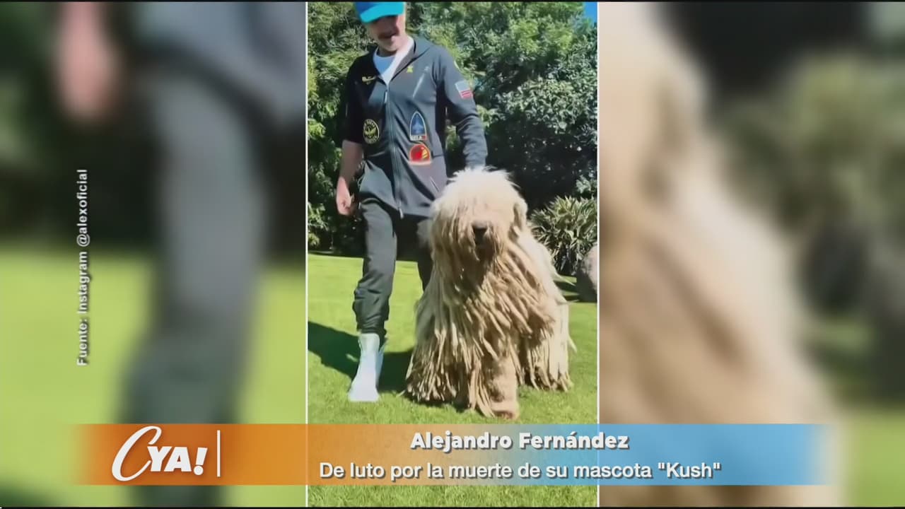 Con voz entrecortada, conductora de Televisa hace repentino anuncio en vivo: “Buen viaje”