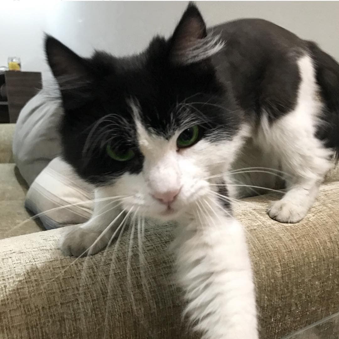 También le gusta tomarse selfies.