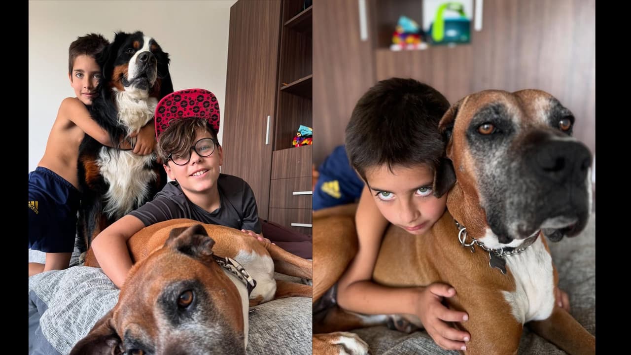 Axel y Marcelo, los hijos mayores de Michelle Renaud y Matías Novoa, también convivieron con Venus