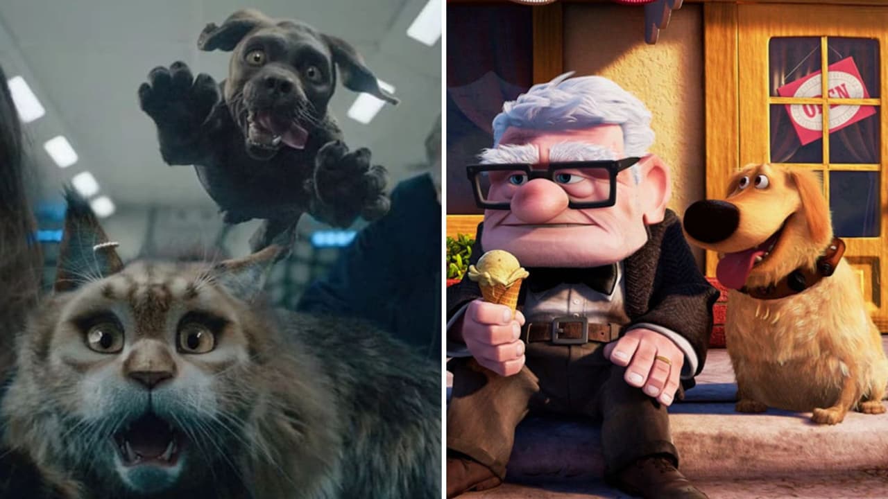 Películas que muestran que el amor de nuestras mascotas es incondicional (prepárate para llorar)