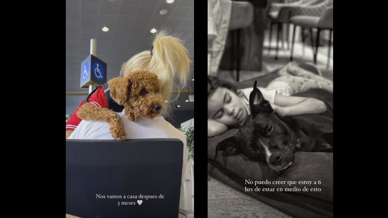 El hijo de Bárbara Mori reveló que tras meses en Colombia regresó a México