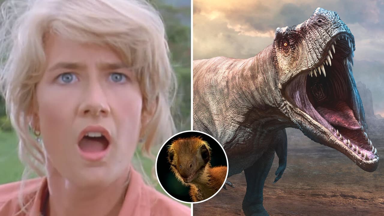 Grupo de científicos revela cómo era el T-Rex bebé y morirás de ternura: no es como en las películas