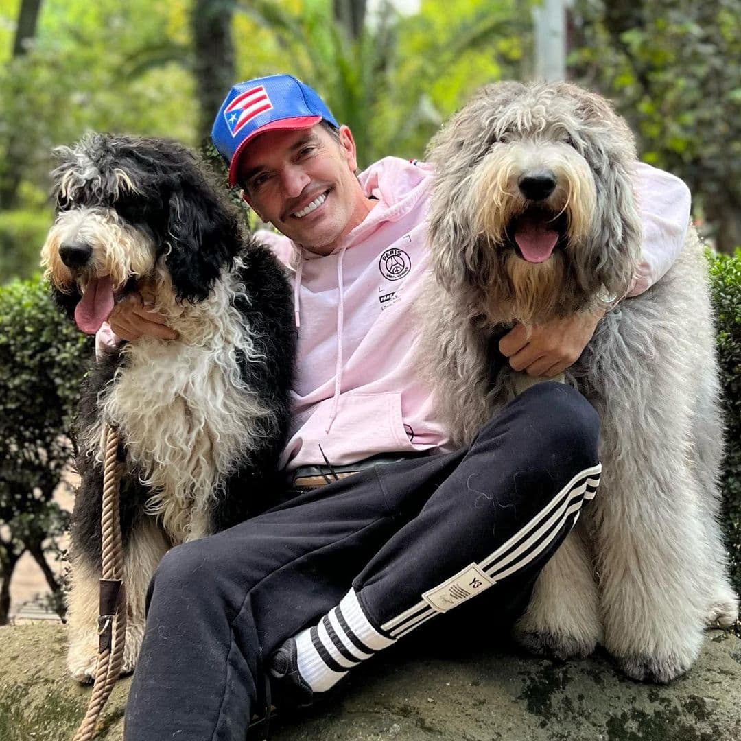 Julián Gil - El actor ha presentado en diversas ocasiones a los dos peludos que son 'dueños de sus quincenas', Fuli y Batman, ambos adquiridos. entre 2020 y 2021 y quienes se han convertido en la incondicional compañía del actor. Curiosamente los tiernos canes tienen su propia cuenta de Instagram, en donde son todos unos 'influencers', pues cuentan con más de 26 mil seguidores.