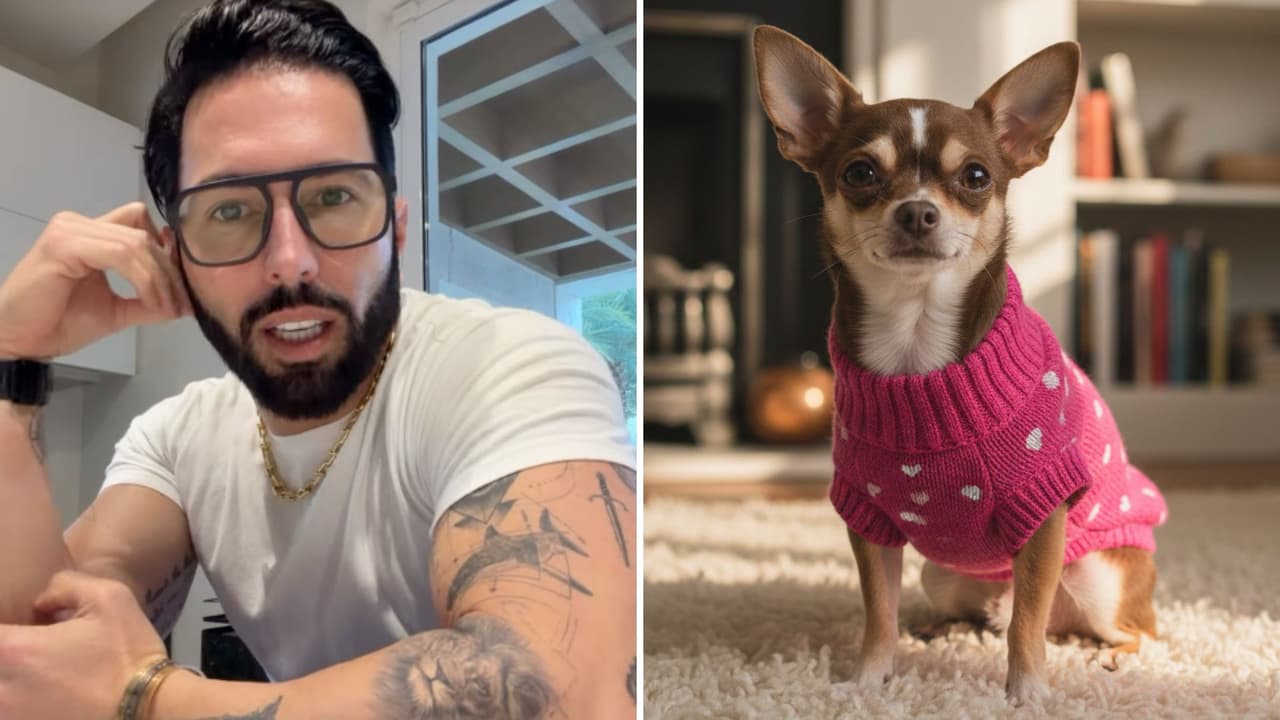 Poncho de Nigris ofrece millones de pesos a mujer por su perro; ¿ella aceptó?