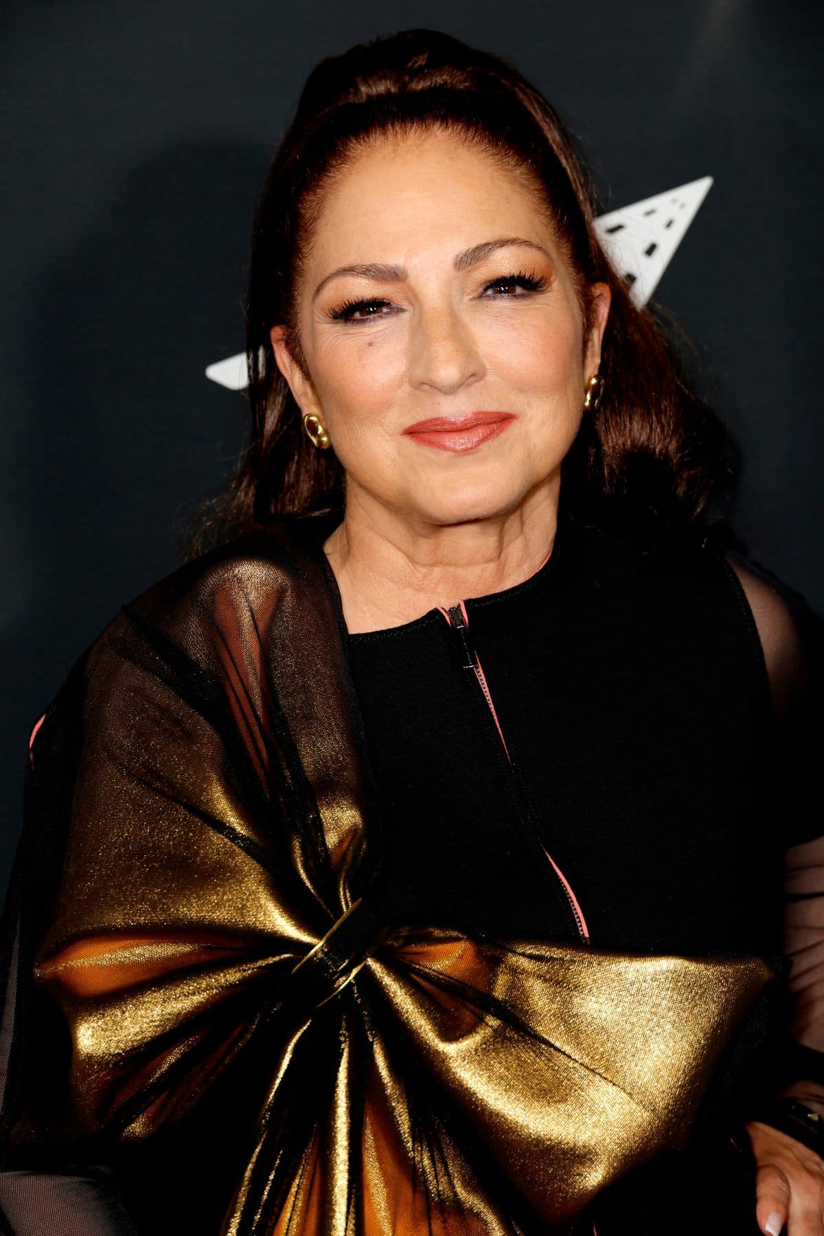 Los descendientes de la Gloria Estefan han seguido sus pasos en la industria