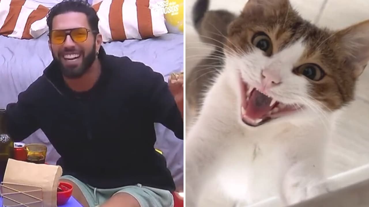 Mascotas "se ríen" como Poncho de Nigris en nuevo trend de TikTok y se hace viral