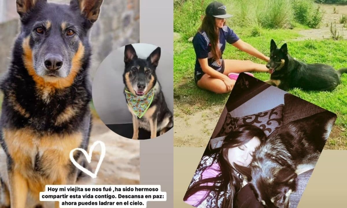 La conductora detalló que le hizo falta tiempo con su mascota