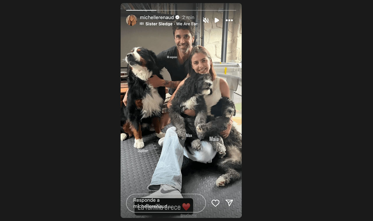 Michelle Renaud y Matías Novoa anuncian que su familia crece: revelan los nombres de los nuevos ‘bebés’