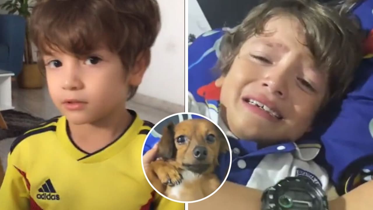 "El mejor día de mi vida": Regalan perrito a niño y hace llorar a Internet con su reacción
