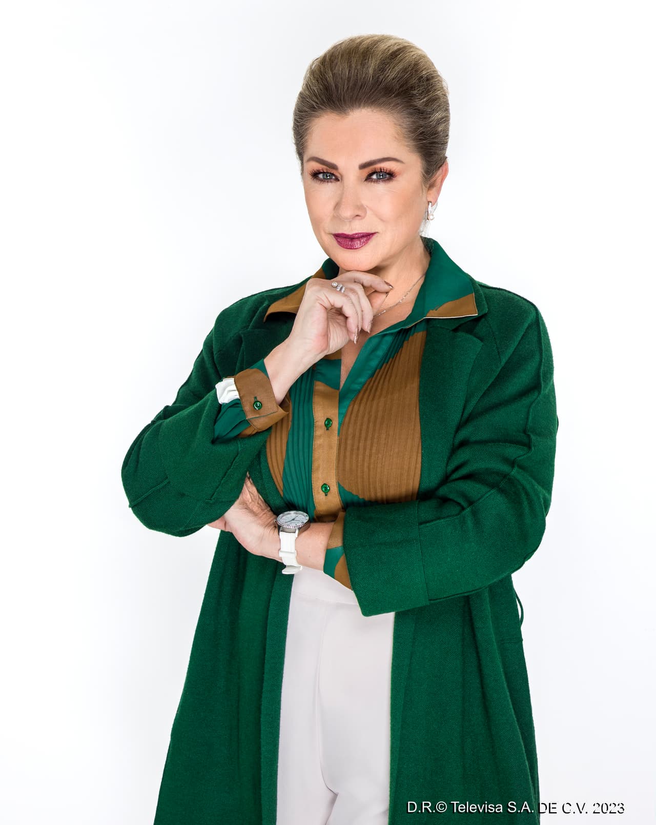 Josefa Aizpuru (Leticia Calderón) es la matriarca de los Torrenegro. Es la esposa de Ramsés, madre de Camila, Gael y Matías; abuela de Ana Julia, Kika, Oliver y Danilo. Es la encargada de mantener el orden de la familia, no sabe que su vida está a punto de dar un giro, cuando lleguen a su vida Leona Bravo y David Alejo.