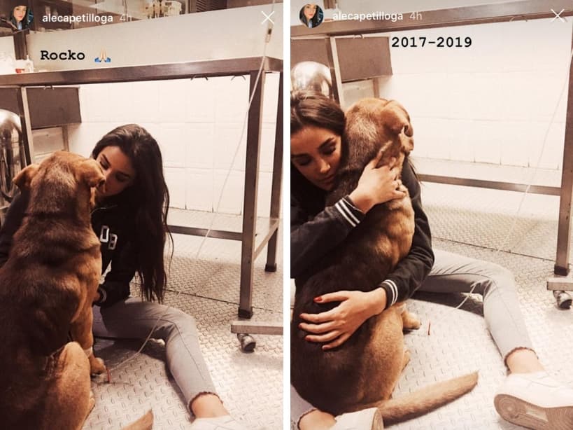Alejandra Capetillo con Rocko