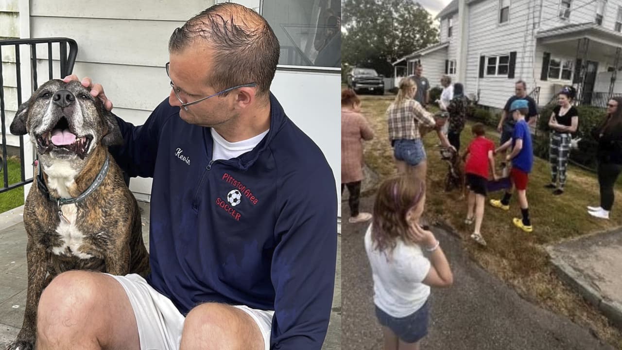 Perrito da su último paseo antes de morir, sus vecinos lo despiden y hacen llorar al Internet