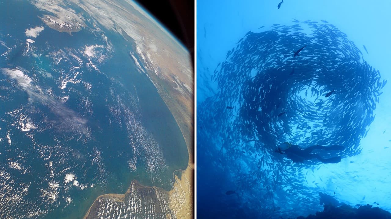 ¿Qué es y dónde se encuentra el 'Punto Nemo'? Así luce el lugar más inaccesible de la Tierra