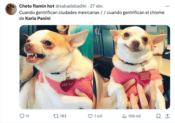 Memes reviven la historia de Karla Panini y Karla Luna