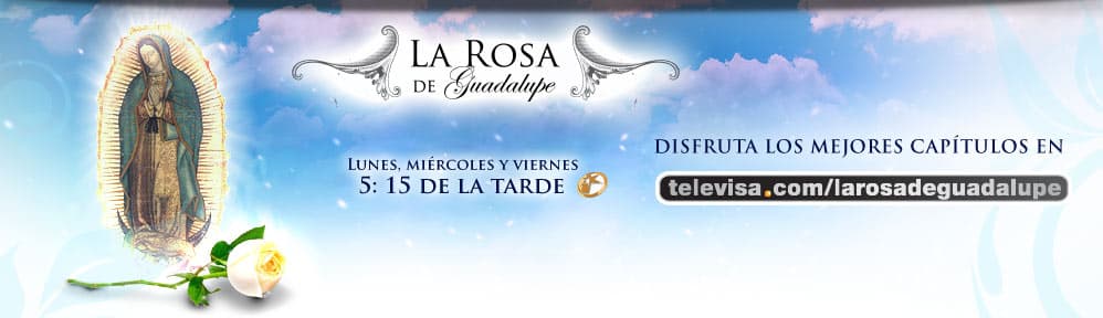 La Rosa de Guadalupe, 7 años de éxito