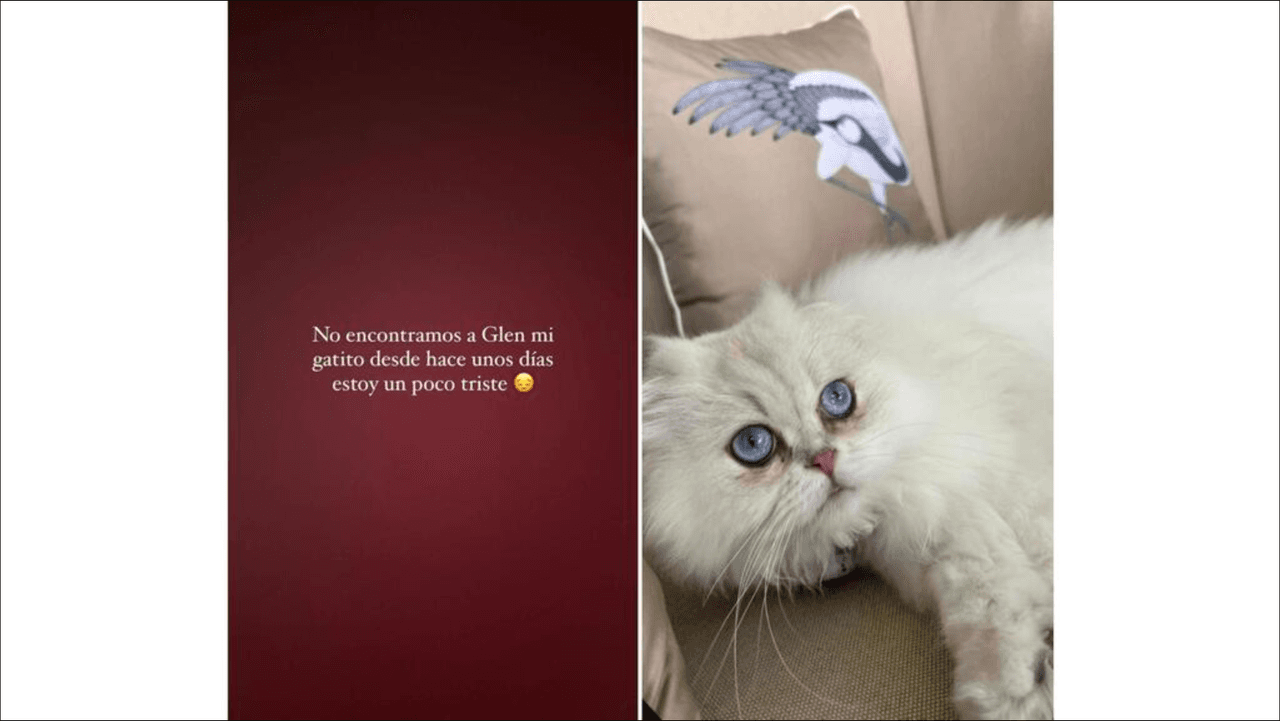 Belinda suplica por ayuda ante desaparición de ser querido