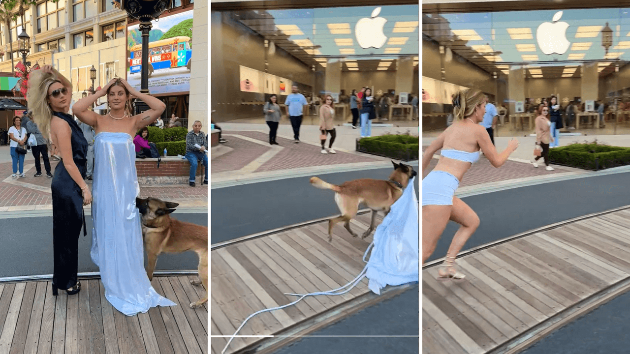 Perro le roba el vestido a la influencer Hannah Stocking mientras posaba para una foto
