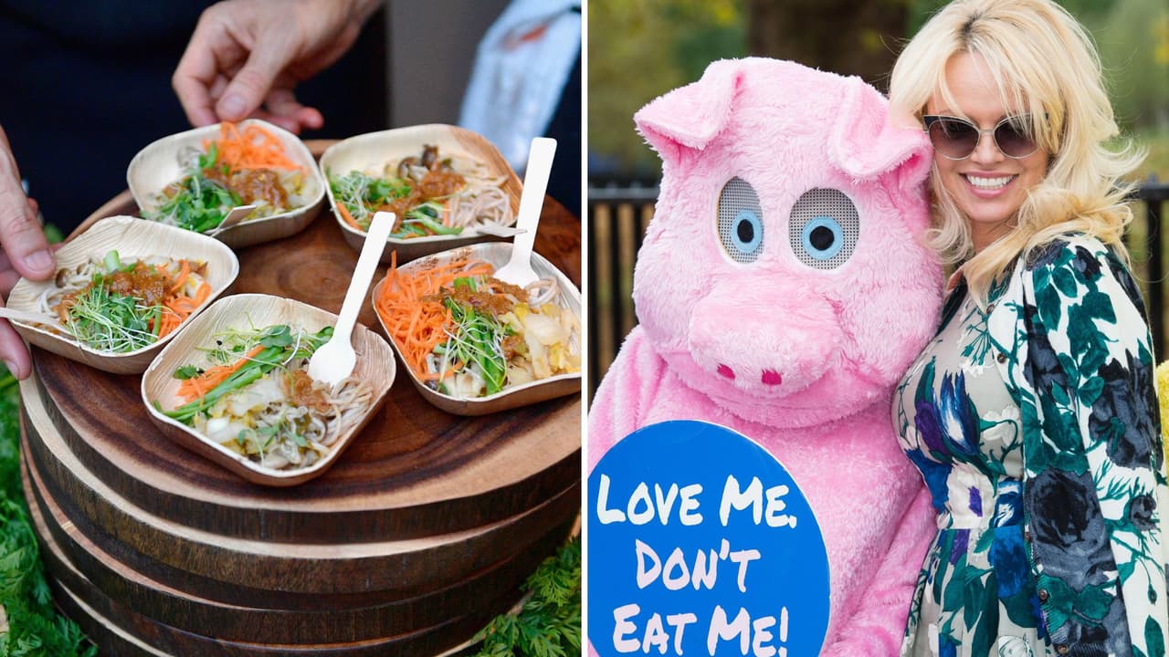 ¿En qué consiste el 'Veganuary'? El reto viral que te invita a no consumir carne para salvar el planeta