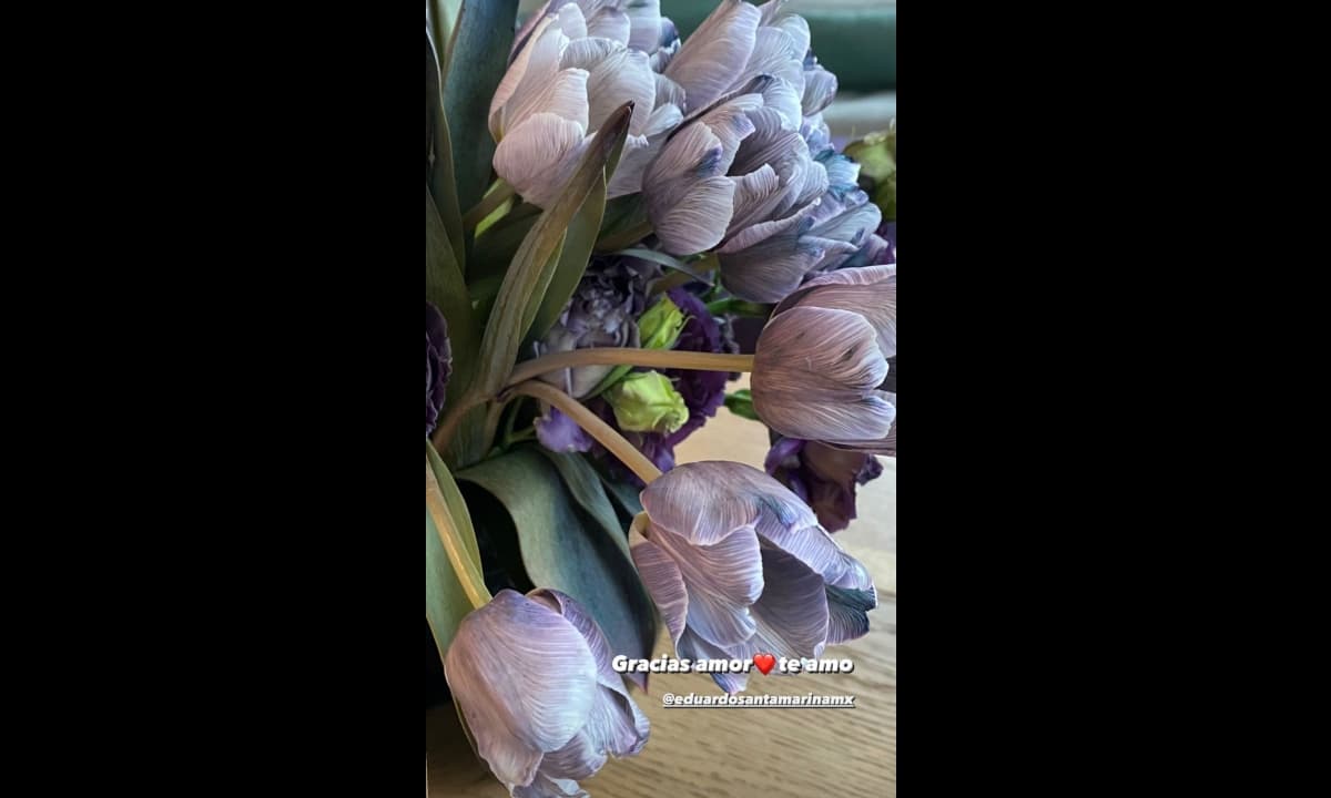 La pareja celebró el Día de San Valentín con emotivo regalo