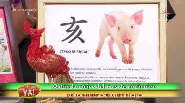 FENG SHUI: Obtén lo mejor de noviembre con la energía del cerdo de metal