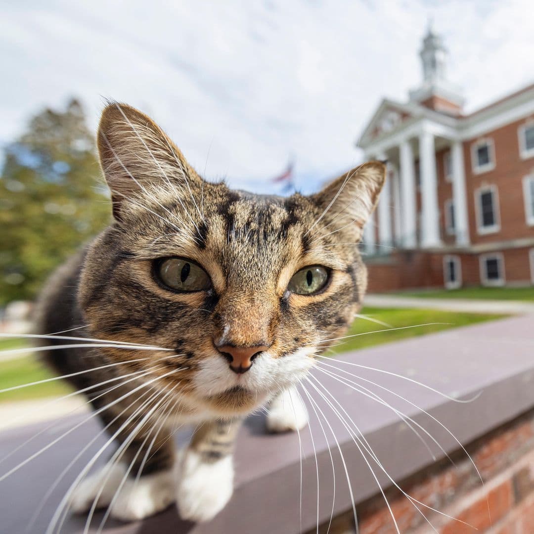 Max se volvió tendencia en diferentes países por recibir un doctorado honorifico en Estados Unidos