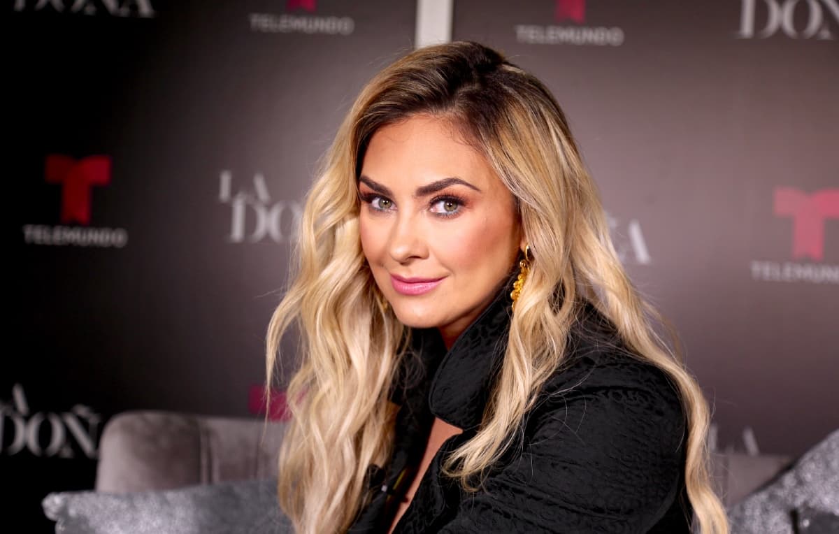 Aracely Arámbula causa revuelo al publicar foto inédita de embarazo