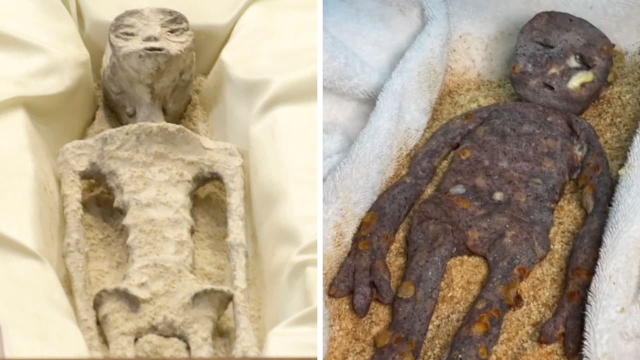 Convierten a alien de Jaime Maussan en quesadilla: surge la "garnachalien"