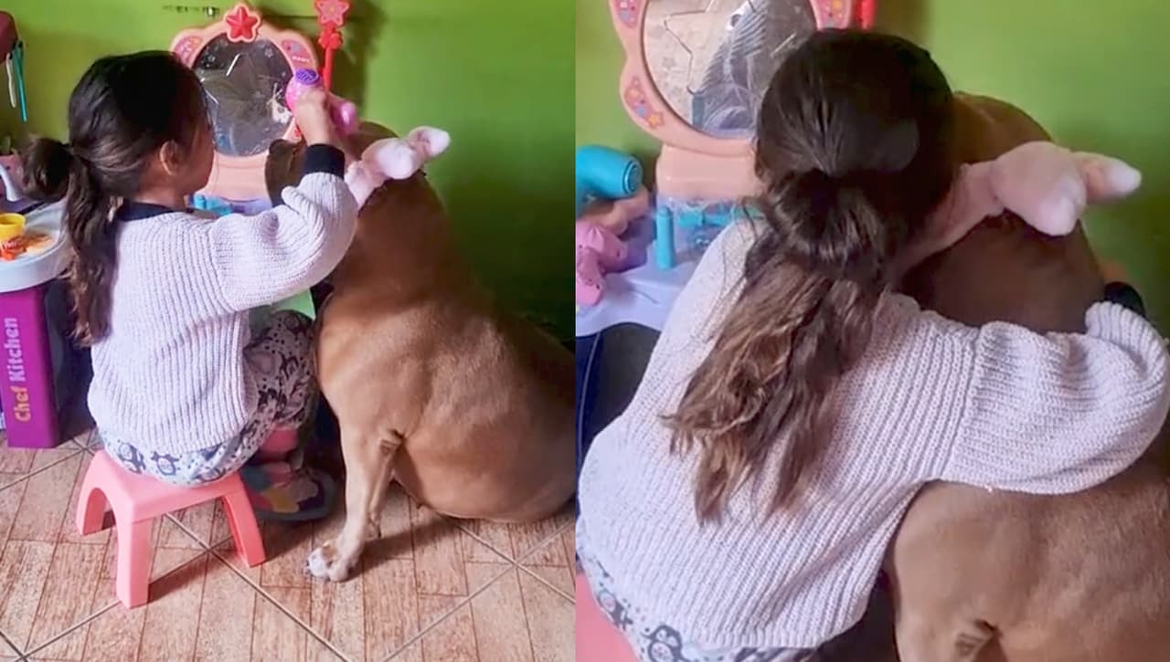Niña y su perrita juegan a maquillarse y el momento te derretirá de ternura