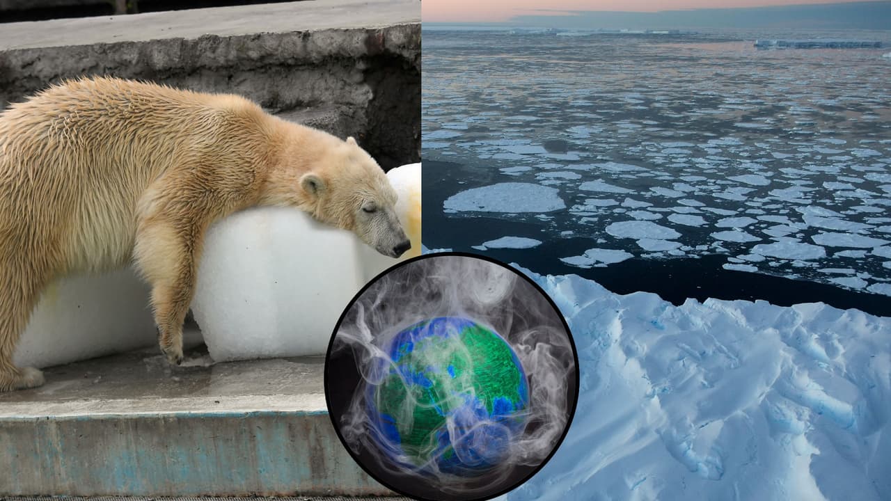 Una reciente investigación científica alerta sobre el impacto del 'hielo de fuego'.