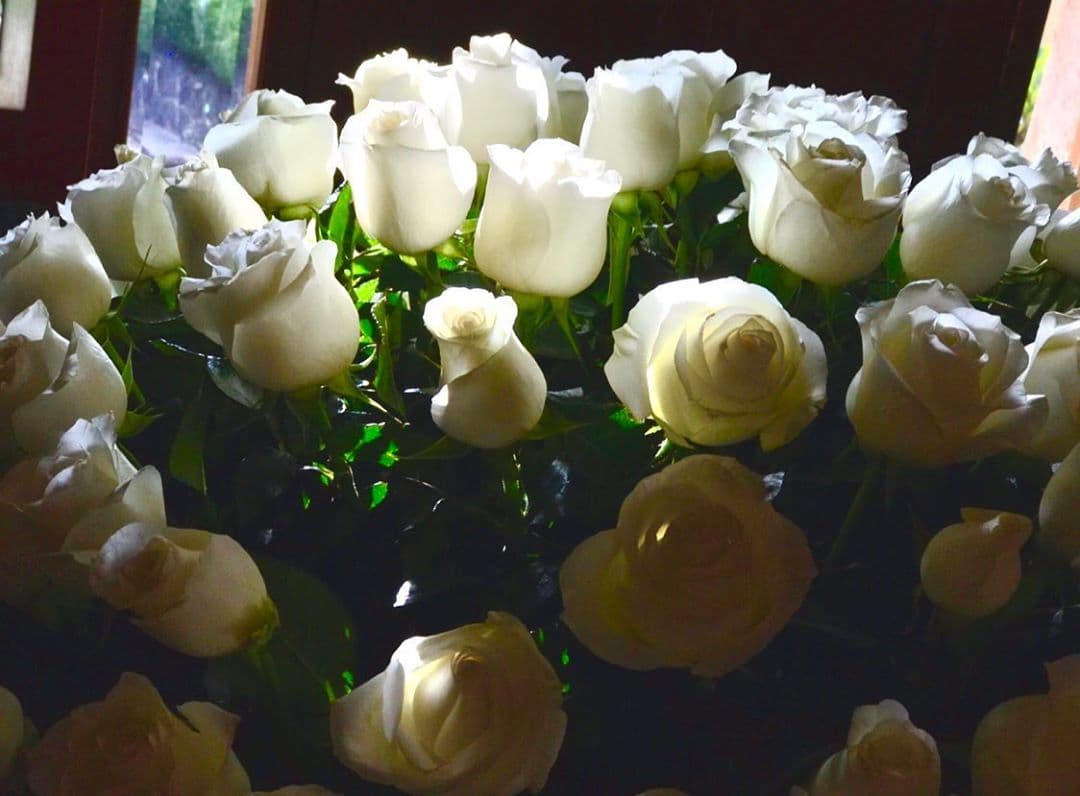 El 24 de septiembre, Lazo compartió la fotografía de un ramo de rosas blancas con la que conmemoró el que sería su aniversario de bodas con Edith González, con quien se unió en matrimonio en 2010.