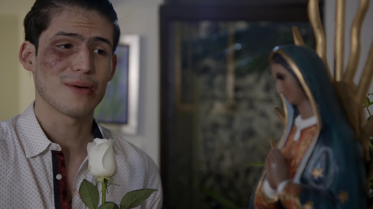 La Rosa de Guadalupe
