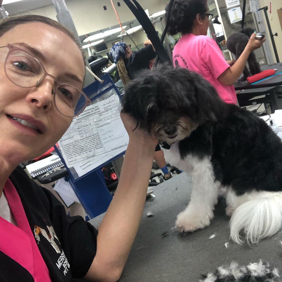 Laura Flores combina la actuación con el oficio de peluquera canina