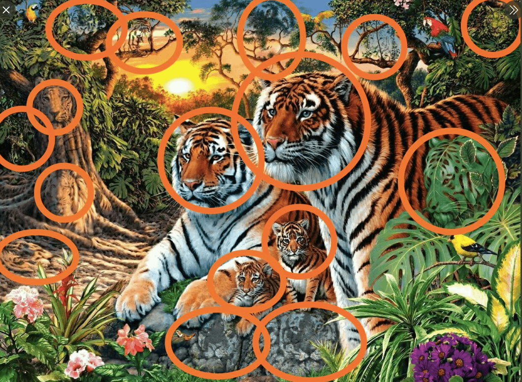 Lo que al principio parecían ser solo cuatro tigres se convirtieron en 16, los cuales estaban camuflados en toda la imagen.