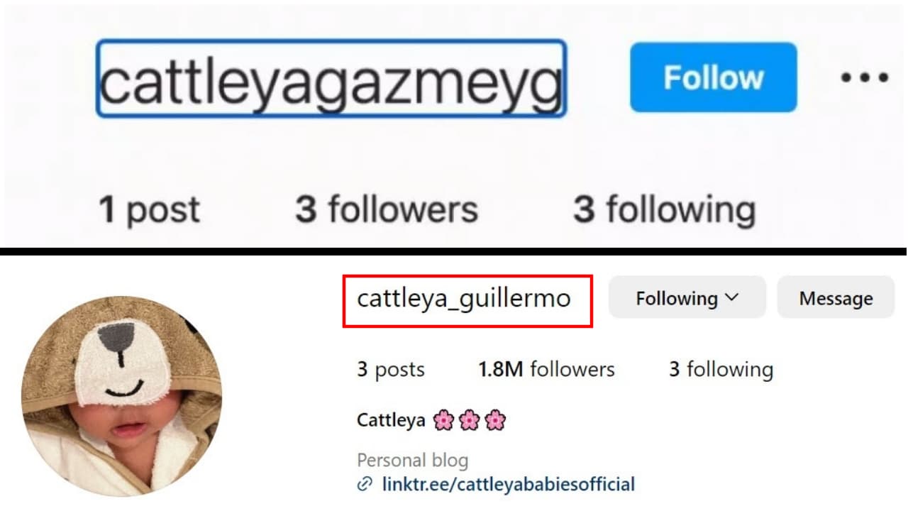 Yailin le quita el apellido de Anuel a su hija en Instagram