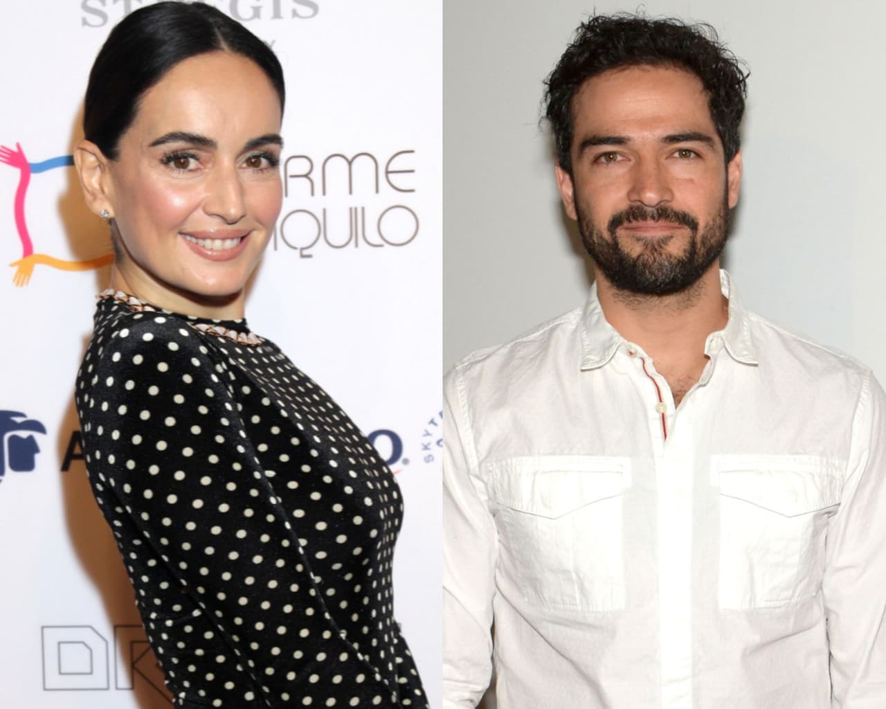 Ana de la Reguera reacciona a supuesto romance con Poncho Herrera