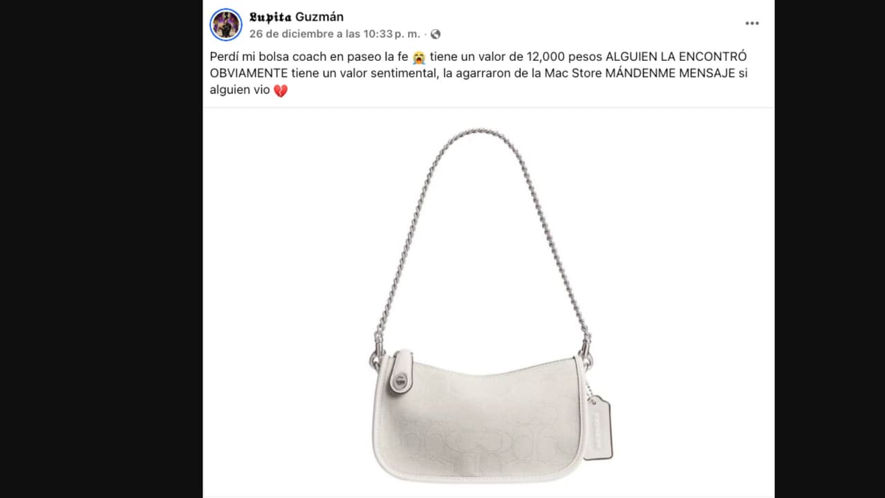 Lupita TikTok pide ayuda para localizar una bolsa que le robaron