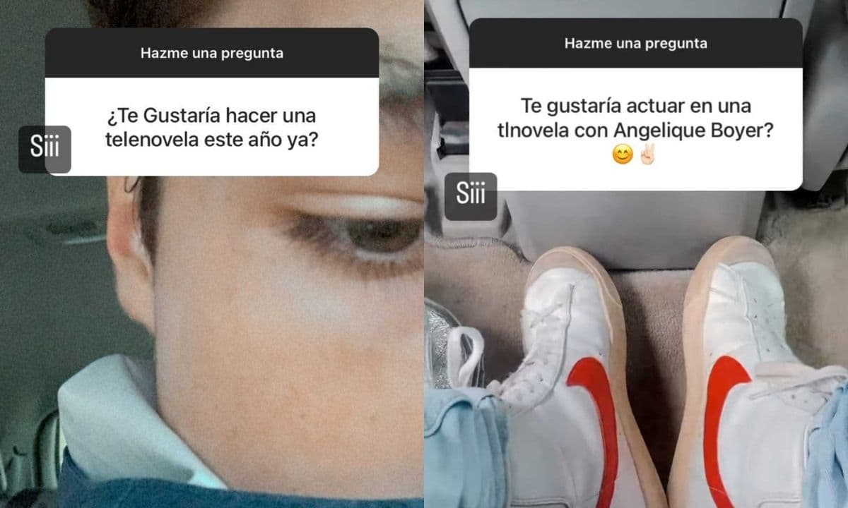 Manuel y Pablo Alanís revelaron que les gustaría retomar su carrera en la actuación