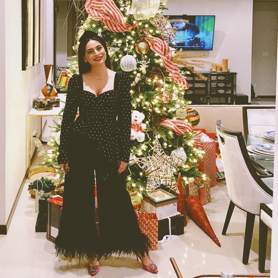 Ana Brenda Contreras mandó sus mejores deseos junto a este árbol de Navidad.