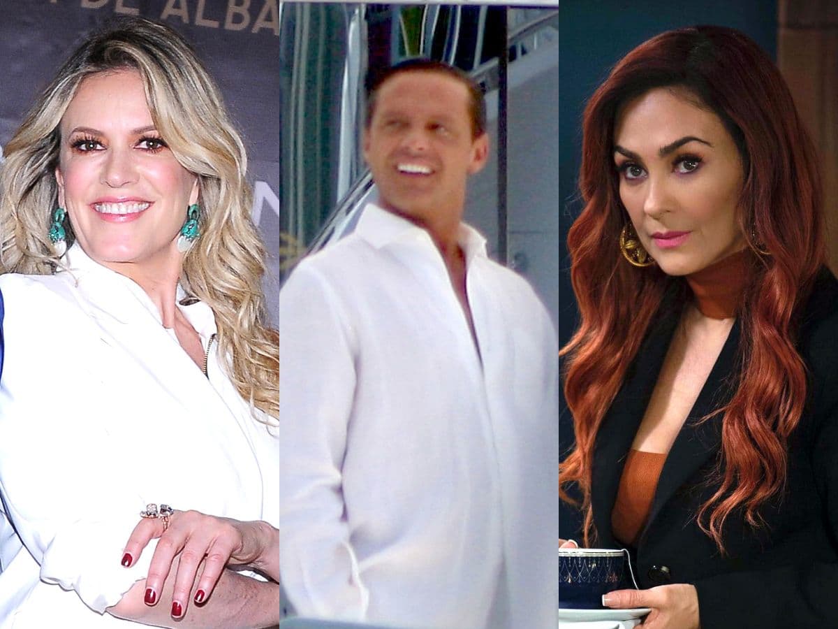 Aracely Arámbula habría llamado “cucaracho” a Luis Miguel, pero ¿qué piensa Rebecca de Alba de él?