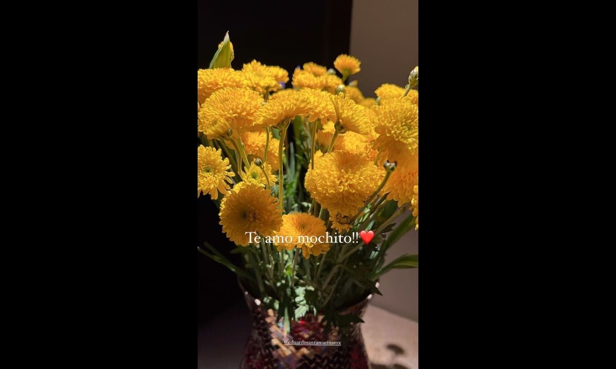 La actriz mostró la romántica foto en redes sociales