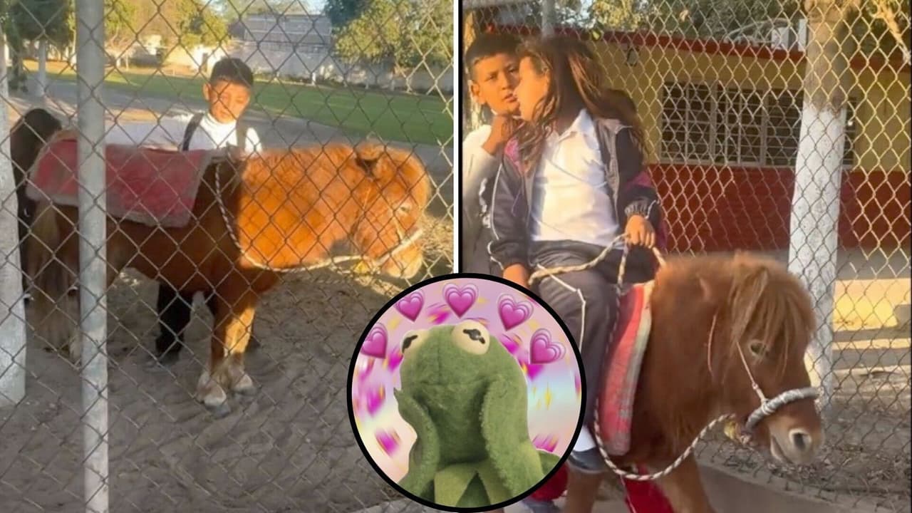 Niños mexicanos llegan montados en pony a la escuela y son la envidia de Internet: “Todo un lujo”