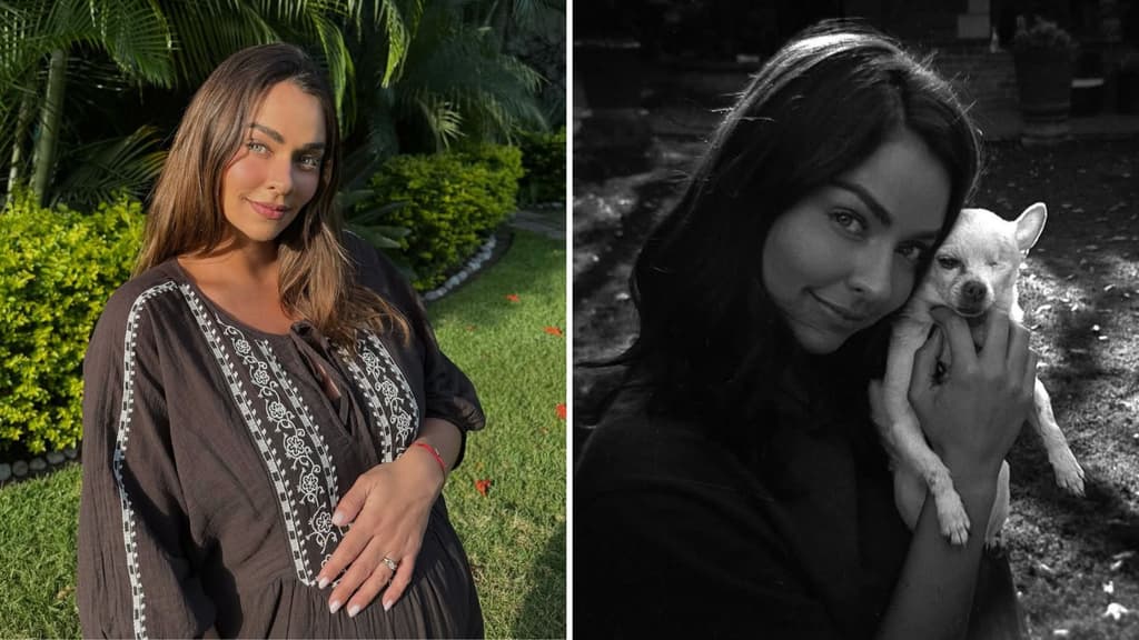 ¿Qué fue del actor Sergio Catalán? A 13 años de alejarse de las novelas ...