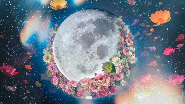 Luna de las Flores 2025: ¿Cuándo y cómo ver la segunda luna llena de la primavera?