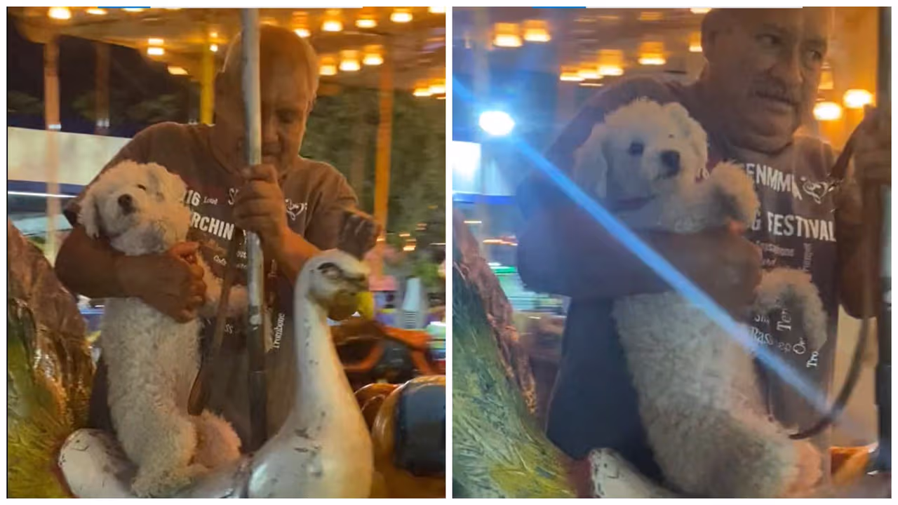 Abuelito mexicano pasea a su perrito en un carrusel como si fuera un ...
