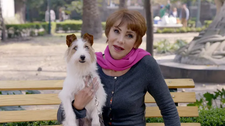 Resumen Capítulo 17, Temporada 9: Muerto el perro, se acabó la rabia ...