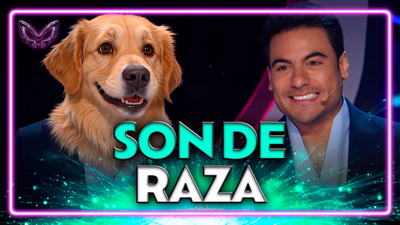 ¿De qué raza son? Shiba Moon ve a Carlos Rivera como un Golden | Shows ...